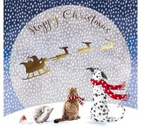 GBCC Lot de 6 cartes de Noël caritatives - Cartes de Noël caritatives avec animaux et le Père Noël dans le ciel - Paquet écologique de cartes de Noël avec enveloppes