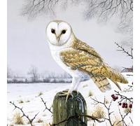 GBCC Lot de 6 cartes de Noël caritatives - Cartes de Noël caritatives avec chouette effraie et scène enneigée - Cartes de Noël respectueuses de l'environnement avec enveloppes