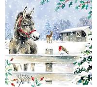 GBCC Lot de cartes de Noël caritatives de 10 - Ânes festifs et rouge-gorge dans la neige - Pack de cartes de vœux premium avec enveloppes - Soutien aux œuvres de bienfaisance du Royaume-Uni