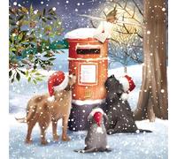 GBCC Lot de cartes de Noël caritatives de 10 - Chiens festifs & boîte aux lettres dans la neige - Pack de cartes de vœux premium avec enveloppes - Soutien aux œuvres caritatives du Royaume-Uni