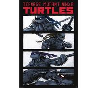 Gbeye - Tortues Ninja Poster Comics Noir & Blanc (91.5x61)