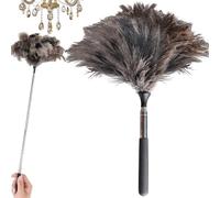 GBKDQQ Balai À Plume d'Autruche Télescopique: Efficacité Plumeau À Plumes D'Autruche, Confort Balai À Poussière Long pour Surfaces Élevées (17-40 Pouces)