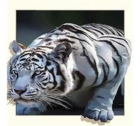 GBPR Puzzle Adulte 1500 Pièces Puzzle 3D Tigre 3D Éducatif de Soulagement du Stress pour Adultes Enfants Puzzles Jouets Cadeau de Jeu