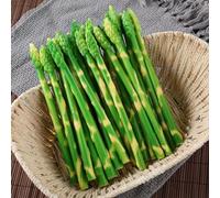 Gbtdoface Lot de 10 asperges artificielles en plastique pour décoration de table, magasin d'alimentation, plantes