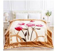 GC GAVENO CAVAILIA Jeté de lit réversible Double épaisseur en Polaire Sherpa, Douce, Confortable, Thermique et Lourde pour Adulte (200 x 240 cm), Grande Couverture Moelleuse en Polyester de 4 kg