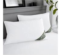 GC GAVENO CAVAILIA Lot de 2 oreillers en plumes de canard anti-acariens et hypoallergéniques pour le cou Blanc