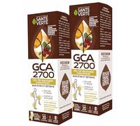 GCA 2700 gel - Gel Chauffant qui réunit 16 actifs ciblés dont l’ Harpagophytum, l’ Hélichryse et la Gaulthérie - Lot de 2 Tubes de 100 ml