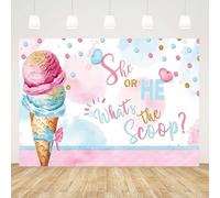 GCIREC 10x8ft Arrière Plan en Forme de Cône de Glace Rose Il ou Elle Qu'est-ce Que Le Scoop Révélation du Genre Fond de fête de Famille Bannière de Studio Enfants Props de Photographie