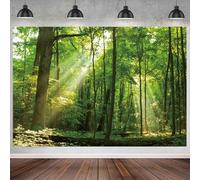 GCIREC 12x8ft Fond Jardin Printanier Lumière Chaude du Soleil Forêt Verte Pays des Merveilles Naturelles Fond de fête de Famille Bannière de Noël Studio Photo Enfants Props de Photographie