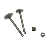 GCLANXI Kit de soupape d'admission et d'échappement, joint d'huile, for Yamaha Virago XV250 V Star 250 Route 66 SRV250 QJ250-H QJ250-L QJ250-J