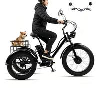 GCLCPAEN Tricycle Électrique 24 Pouces, Tricycle Électrique pour Adultes, avec Grand Panier, Écran LCD, Phares, Capacité De Charge De 200 Kg, Conduite sans Effort, Noir