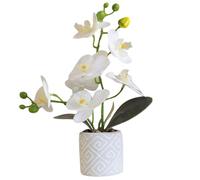 Gcroet 1pc Orchidées artificielles Qui Ont l'air réelles, orchidées en Plastique de 11 Pouces Fleurs artificielles en Pot, Fleurs artificielles orchidées Blanches Vives