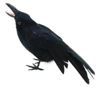 Gcroet Décor d'halloween Corbeau réaliste, Faux Corbeau 9,8 Grand Crows Debout à Plumes Noires pour Les Oiseaux de décoration d'halloween, Fausse Raven de la Vie.