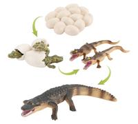 Gcroet Jouet Crocodile - Jouets éducatifs en Forme de Crocodile pour Enfants avec œuf, Nouveau-né et modèle Adulte, Figurines du Cycle de Vie, Ensemble d'apprentissage des Animaux en Plastique..