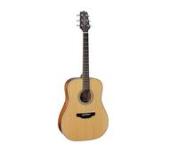 Takamine GD20NS - Gd20-ns Guitare acoustique dreadnought