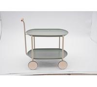 Gdetnysty Chariot de service d'extérieur à 2 étages pour piscine, fête, jardin, 2 niveaux, 50 kg, pour cuisine, salle de bain, bureau, jardin