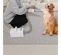 Gdetnysty Sèche-cheveux professionnel pour animaux de compagnie - Puissance : 2800 W - Vitesse réglable - Avec 4 buses - Avec tuyau de 2 m - Pour chiens, chats, grands et moyens