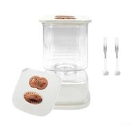 Gdfnmogo Bocal Kimchi carré avec joint hermétique anti-fuite et construction en plastique, avec séparateur sec intégré pour la fraîcheur et un stockage efficace