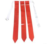 Gdfnmogo Ensemble de ceinture de football avec drapeau de rugby, sangle de taille réglable en nylon avec boucle en D et drapeaux en ruban, équipement anti-contact pour entraînement sportif d'équipe