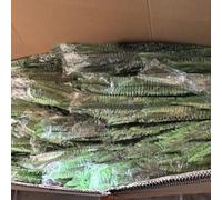 Gdfnmogo Fougère de Boston artificielle verte pour décoration de maison, jardin, fête, mariage, intérieur ou extérieur, faux feuillage réaliste en plastique nécessitant peu d'entretien (18 têtes)