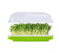 Gdfnmogo Lot de 4 plateaux de germination en plastique avec couvercles - Grande capacité - 34 x 25 cm - Pour haricots mungo, luzerne, lentilles, pois chiches et autres semences d'intérieur