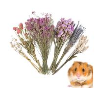 Gdiojnfg Parure de lit en forme de de hamster - Habitat de chinchilla naturel | Abri de gerbille décoratif pour lapin, hérisson, mariage, camping, fêtes à thème, vacances, festivals d'art