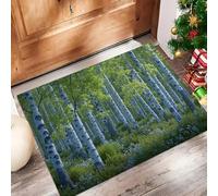GDJSMIN Paillassons Intérieur Paysage De Forêt De Bouleaux, Tapis Souples Lavables Style Forestier Réaliste, Paillasson Absorbant Antidérapant À Profil Bas pour Entrée Porte,45 X 75 Cm Vert Émeraude