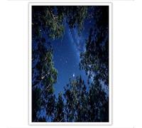 GDJSMIN Sans Cadre Impression Sur Toile,Forêt Du Ciel Étoilé Tableau Mural,Ciel Nocturne La Forêt Pins Peinture Photo Sur Toile Tableau Decoration Murale Salon Chambre 40×60 Cm Bleu Profond