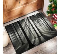 GDJSMIN Tapis De Porte Lavable Scène De Forêt,Grands Arbres Motif De Lumière du Soleil Tapis De Porte Avant Intérieur pour La Cuisine,Le Jardin, L'Entrée du Hall 40 X 60 cm,Noir Anthracite