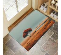 GDJSMIN Vastes Prairies Paillasson Orange, Champs Motif Feuilles Rouges Tapis De Bienvenue pour Porte D'Entrée,Tapis De Noël Antidérapant pour Intérieur Ou Extérieur,50 X 80 Cm