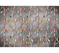 gdkldfg Papier Peint Panoramique Intissé 300x210cm Arbre Cartoon Oiseau Coloré Paysage Naturel,Decoration Chambre/Salon,Tapisserie,Poster Murales