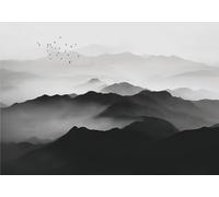 gdkldfg Papier Peint Panoramique Intissé 300x210cm Montagnes Noir Et Blanc Oiseau Brouillard Zen Paysage Naturel,Decoration Chambre/Salon,Tapisserie,Poster Murales