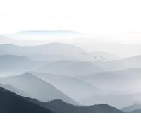 gdkldfg Papier Peint Panoramique Intissé 300x210cm Nature Zen Montagnes Brouillard Oiseau Noir Et Blanc,Decoration Chambre/Salon,Tapisserie,Poster Murales
