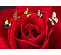 gdkldfg Papier Peint Panoramique Intissé 430cmx300cm Rouge rose papillon,Decoration Chambre/Salon,Tapisserie,Poster Murales