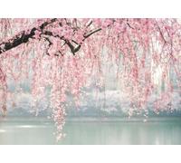 gdkldfg Papier Peint Panoramique Intissé Fleurs Roses,Paysage Naturel Poster Mural Décoration pour Chambre, Salon 300x210cm