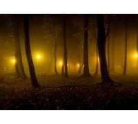 gdkldfg Papier Peint Panoramique Intissé Forêt Jaune,Zen,Paysage Naturel Poster Mural Décoration pour Chambre, Salon 400x256cm