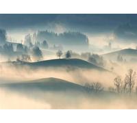 gdkldfg Papier Peint Panoramique Intissé Forêt,Montagnes,Zen,Paysage Naturel Poster Mural Décoration pour Chambre, Salon 400x280cm
