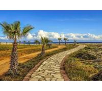 gdkldfg Papier Peint Panoramique Intissé Océan Tropical,Paysage Naturel Poster Mural Décoration pour Chambre, Salon 200x140cm