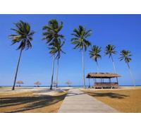 gdkldfg Papier Peint Panoramique Intissé Plage,Cocotiers,Paysage Naturel D'Asie Du Sud-Est Poster Mural Décoration pour Chambre, Salon 400x280cm