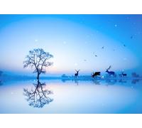 gdkldfg Papier Peint Panoramique Poster Mural Arbre Animaux Oiseau Zen Nature Ciel Bleu 350x250cm Tapisserie Murales Soie Intissé Decoration Murale Salon/Chambre