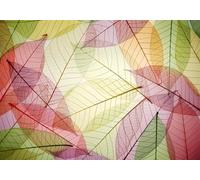 gdkldfg Papier Peint Panoramique Poster Mural Géométrique Plantes Feuilles Nature Rouge 300x210cm Tapisserie Murales Soie Intissé Decoration Murale Salon/Chambre