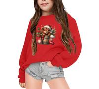 Gdqzzeaiix Fille Noël 3D Pull Enfants,Pull Rouge Rigolo Vache des Highlands Imprime Mignon Sweat Manches Longues Col Rond Pullover Mode Chaud Doux et Comfortable Vêtements pour 2-6 Ans Hauts Loisirs