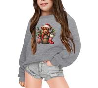 Gdqzzeaiix Fille Noël 3D Pull Enfants, Pull Rouge Rigolo Vache des Highlands Imprime Mignon Sweat Manches Longues Col Rond Pullover Mode Chaud Doux et Comfortable Vêtements pour 2-6 Ans Hauts Loisirs