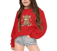 Gdqzzeaiix Fille Noël 3D Pull Enfants,Pull Rouge Rigolo Vache des Highlands Imprime Mignon Sweat Manches Longues Col Rond Pullover Mode Chaud Doux et Comfortable Vêtements pour 2-6 Ans Hauts Loisirs