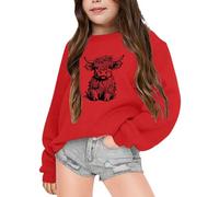 Gdqzzeaiix Fille Noël 3D Pull Enfants, Pull Rouge Rigolo Vache des Highlands Imprime Mignon Sweat Manches Longues Col Rond Pullover Mode Chaud Doux et Comfortable Vêtements pour 2-6 Ans Hauts Loisirs