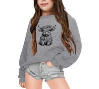 Gdqzzeaiix Fille Noël 3D Pull Enfants,Pull Rouge Rigolo Vache des Highlands Imprime Mignon Sweat Manches Longues Col Rond Pullover Mode Chaud Doux et Comfortable Vêtements pour 2-6 Ans Hauts Loisirs
