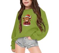 Gdqzzeaiix Fille Noël 3D Pull Enfants, Pull Rouge Rigolo Vache des Highlands Imprime Mignon Sweat Manches Longues Col Rond Pullover Mode Chaud Doux et Comfortable Vêtements pour 2-6 Ans Hauts Loisirs
