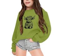 Gdqzzeaiix Fille Noël 3D Pull Enfants, Pull Rouge Rigolo Vache des Highlands Imprime Mignon Sweat Manches Longues Col Rond Pullover Mode Chaud Doux et Comfortable Vêtements pour 2-6 Ans Hauts Loisirs