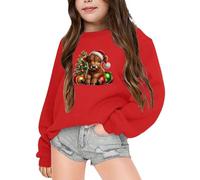 Gdqzzeaiix Pull De Noel Enfant, Pull Noel Enfant Fille, Sweat à Capuche Fille Motif Vache thématique Noël vêtement Enfant Confortable Loisirs école Quotidien Cadeau Festif Saison Froid