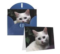 GDSHJKLW Carte de vœux vierge avec enveloppes Motif chat blanc 10,2 x 15,2 cm Cartes de remerciement, cartes de notes, cartes toutes occasions, cartes pour Noël, vacances, anniversaire, remise de